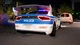 Ключ активации Police Simulator: Patrol Officers: Ultimate Duty Edition для Xbox One/Series S/X - изображение 9