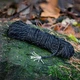 Паракорд Lifesystems 550 Paracord 33 м нейлоновый прочный 250 кг для походов и кемпинга Black - изображение 3