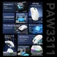Мышь ATTACK SHARK X11 White Беспроводная Игровая (2.4G, Bluetooth), PAW3311, 22000 DPI - изображение 5