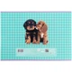 Набор альбомов для рисования Kite Studio Pets 24 листа A4 на скобе 12 шт (SP25-242) - изображение 10