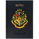 Щоденник шкільний Kite Harry Potter тверда обкладинка HP25-262-2 - изображение 1