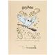Щоденник шкільний Kite Harry Potter тверда обкладинка HP25-262-1 - изображение 1