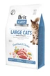 Корм сухой Brit Care Cat Grain Free Large Power Vitality для взрослых кошек больших пород с уткой 400 г - изображение 1