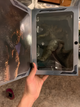 Фигурка Годзилла. Статуэтка Godzilla, игрушка Годзилла 2: Король монстров 16 см. Коллекционные action фигурки - изображение 2