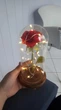 Вечно живая роза в стеклянной колбе с LED подсветкой — романтический подарок 21×9 см - изображение 3