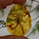 Скорпіон у бурштині 5.5*4 см бурштиновий камінь з комахою, інклюзи в бурштині, імітація бурштину - зображення 7