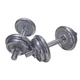 Гантель HSF з хромованим покриттям MD2503 - 2шт по 10 кг (m472659) - изображение 1
