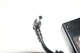Блок питания для ноутбука LENOVO 20V 4.5A(5.5x2.5) (1 сорт) - изображение 2