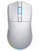 Мышь HATOR Pulsar 3 Wireless White (HTM631) - изображение 1