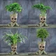 Квітковий органайзер горщик Грут Groot для квітів, рослин та канцелярії - изображение 2