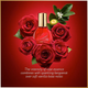 Zestaw damski Gloria Vanderbilt Woda toaletowa Original 30 ml + In Red 30 ml + Miss Vanderbilt 30 ml (5060967730018) - obraz 3