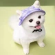 Панама для животных "OMMY" Purple Size М - изображение 6