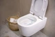 Унитаз подвесной HANSGROHE ELU PURE 60292450 - изображение 2