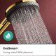 Душова лійка HANSGROHE Raindance Alive EcoSmart із кнопкою 125мм пластик золото 24511990 - зображення 7