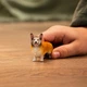 Вельш-коргі Schleich 13999 - изображение 2