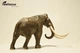 Колумбійський мамонт Mammuthus columbi EoFauna 00710 - изображение 2