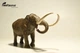 Американський мастодонт Mammut americanum EoFauna 00711 - изображение 3