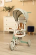 Дитячий триколісний велосипед Caretero Toyz Faro Green дитячий велосипед-біговел, велосипед з батьківською ручкою - зображення 3