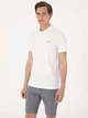 Поло длинное мужское Pierre Cardin G021SZ011-000-2245768(Ekru) XL Экрю (8683858801696) - изображение 4