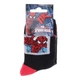 Носки SPIDER MAN SPIDERMAN DS CARRE черный Дети 19-22, арт.43890147-2 - изображение 2