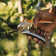Sekator płaski całkowicie metalowy Fiskars Plus P531 (1057168) - obraz 2