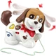 Розвивальна інтерактивна іграшка собачка VTech Walk and Woof Puppy - зображення 2