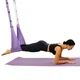 Гамак-резинка для аэройоги Air Yoga Rope подвесной регулируемый до 200 кг - изображение 3