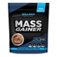Гейнер Willmax Mass Gainer (2 кг, шоколадне морозиво) - изображение 1