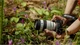 Обєктив Sony 70-200mm, f/4.0 G OSS II для камер NEX FF (SEL70200G2.SYX) - зображення 8