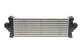 Радіатор інтеркулера Ford Transit/Tourneo 2.2D 11- - 18014710 VAN WEZEL - зображення 6
