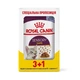 Влажный корм Royal Canin SENSORY FEEL in Jelly pouch для кошек в соусе 3 + 1 шт - изображение 1