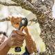 Пила складана Fiskars Plus SW68 (1067552_Fis) - зображення 12