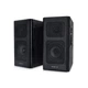 Акустическая система Real-El S-250 Black - изображение 1