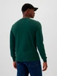 Футболка с длинным рукавом, длинная мужская GAP M, Essex Green (Темно-зеленая) 500127324275 - изображение 2