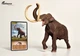 Степовий мамонт Mammuthus trogontherii EoFauna 00700 - зображення 1