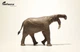 Динотерій Deinotherium EoFauna 00703 - изображение 3