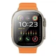 Смарт-часы BOROFONE BD10 Ultra Smart sports watch call version 2.01'' BT5.3 300mAh Titanium Gold (6941991117879) - изображение 1