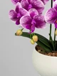 Композиция из искусственных фиолетовых орхидей с белыми краями Premium на 3 веточек в белом керамическом кашпо, 60 см, А148 - изображение 4