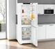 Холодильник двухкамерный Liebherr CNd 5203 PURE NoFrost с двумя независимыми контурами - изображение 1