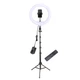 Тримач з кільцевим освітленням Bluetooth 12" YQ-320A light set (Kit2) | 170cm Stand, Plug Powered, 3000-6500K | - зображення 1