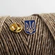 Значок Dobroznak Герб України міні (3685) - зображення 1