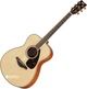 Гітара акустична Yamaha FS820 Natural (FS820 NT) - зображення 1