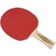 Ракетка для настольного тенниса Donic Top Teams 300 New Black/Red 705031 MISC - изображение 3
