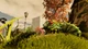 Ключ активации Grounded 2: Founder’s Edition для Xbox Series S/X - изображение 5