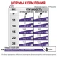 Royal Canin Neutered Small Dog (Ньютрід Смол Дог) сухий корм для стерилізованих собак дрібних порід 800 гр. - изображение 4