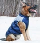 Жилетка для собак Диего 4XL Синий - изображение 6