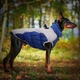 Жилетка для собак Диего 4XL Синий - изображение 7