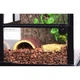 Тераріум Repti-Zoo 30x30x45см (RK0102S) - зображення 3