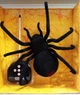 Радиоуправляемый паук "Черная Вдова" (Black Widow) на пульте ДУ, реалистичные движения Країна Іграшок - изображение 3
