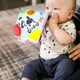 Книжка-прорізувач Baby Einstein Curious Explorers 0m+ (74451117945) - зображення 3